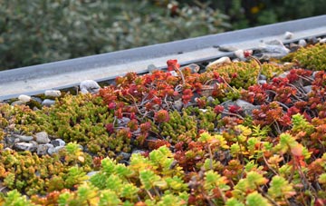 the cost of Wolverstone green roof installation